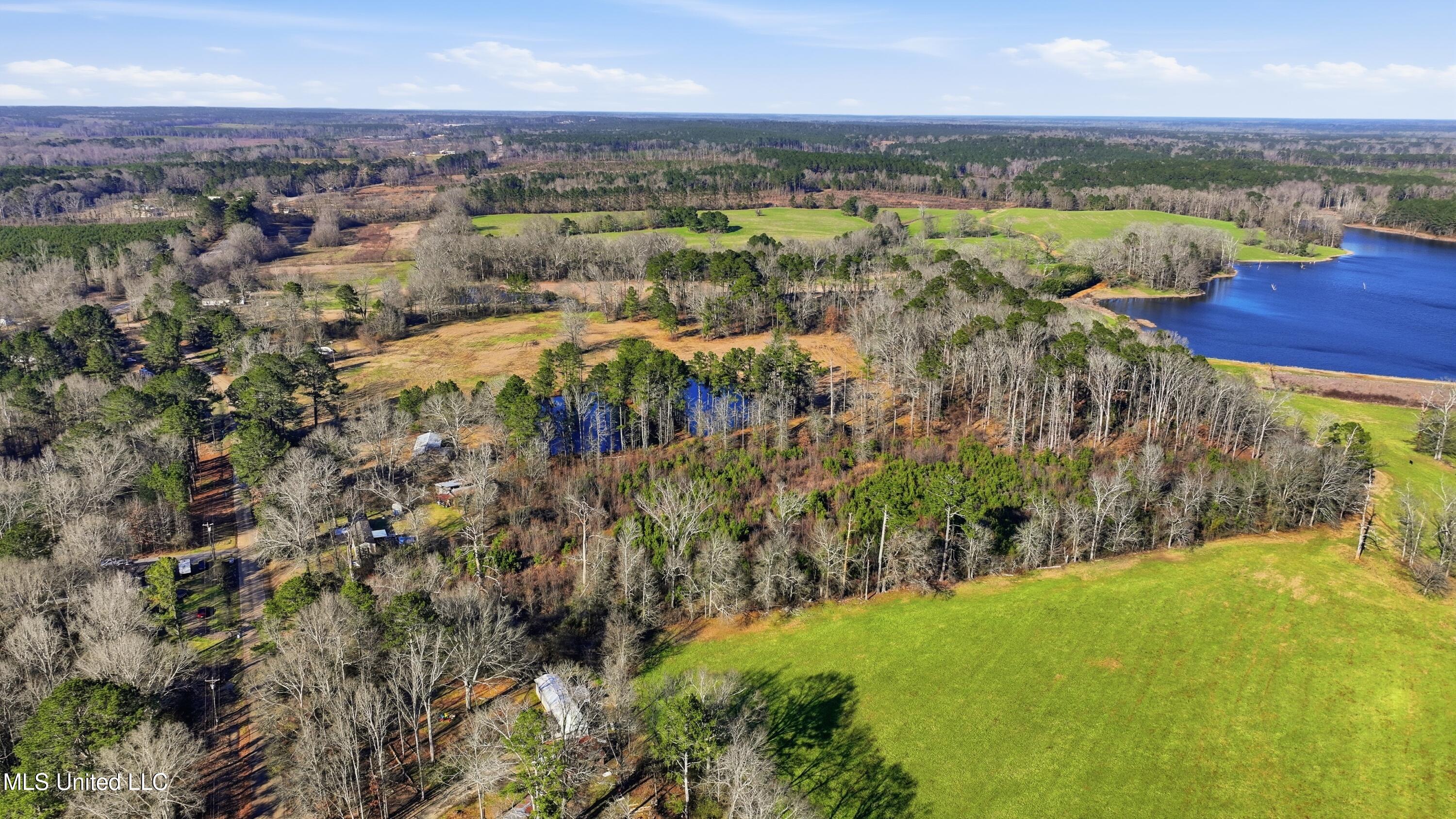 254 Red Allen Road Brandon, MS 39042 - Photo 19 of 31 14-249 Red Allen Rd _ Home Tours MS