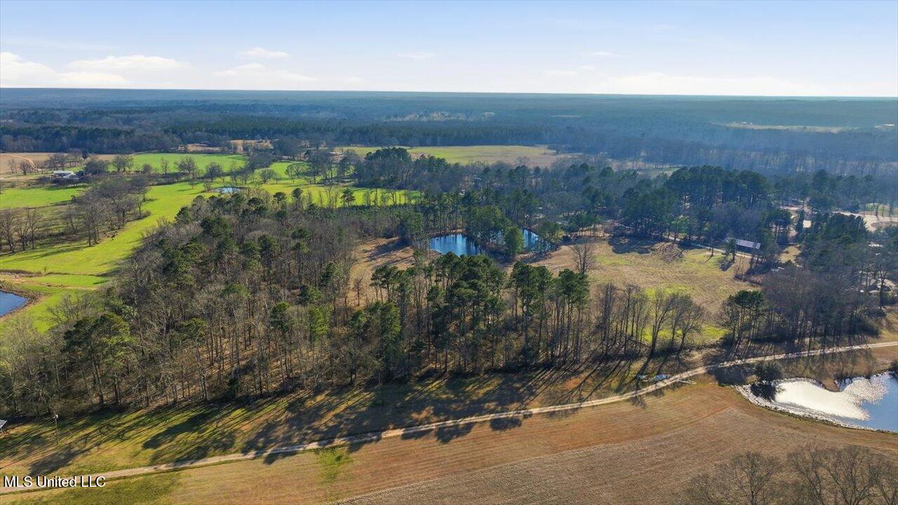 254 Red Allen Road Brandon, MS 39042 - Photo 2 of 31 Main