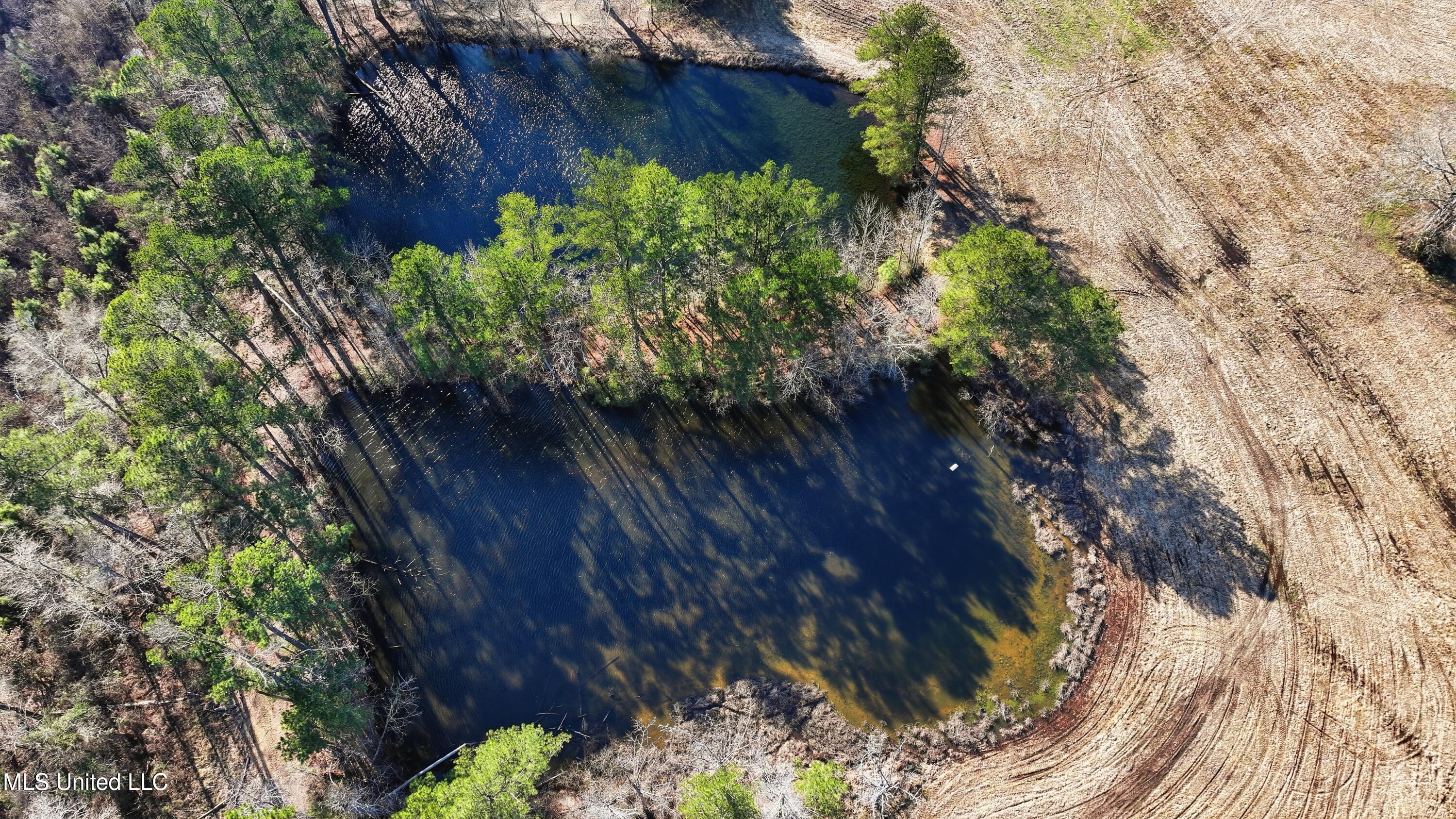 254 Red Allen Road Brandon, MS 39042 - Photo 21 of 32 25-249 Red Allen Rd _ Home Tours MS
