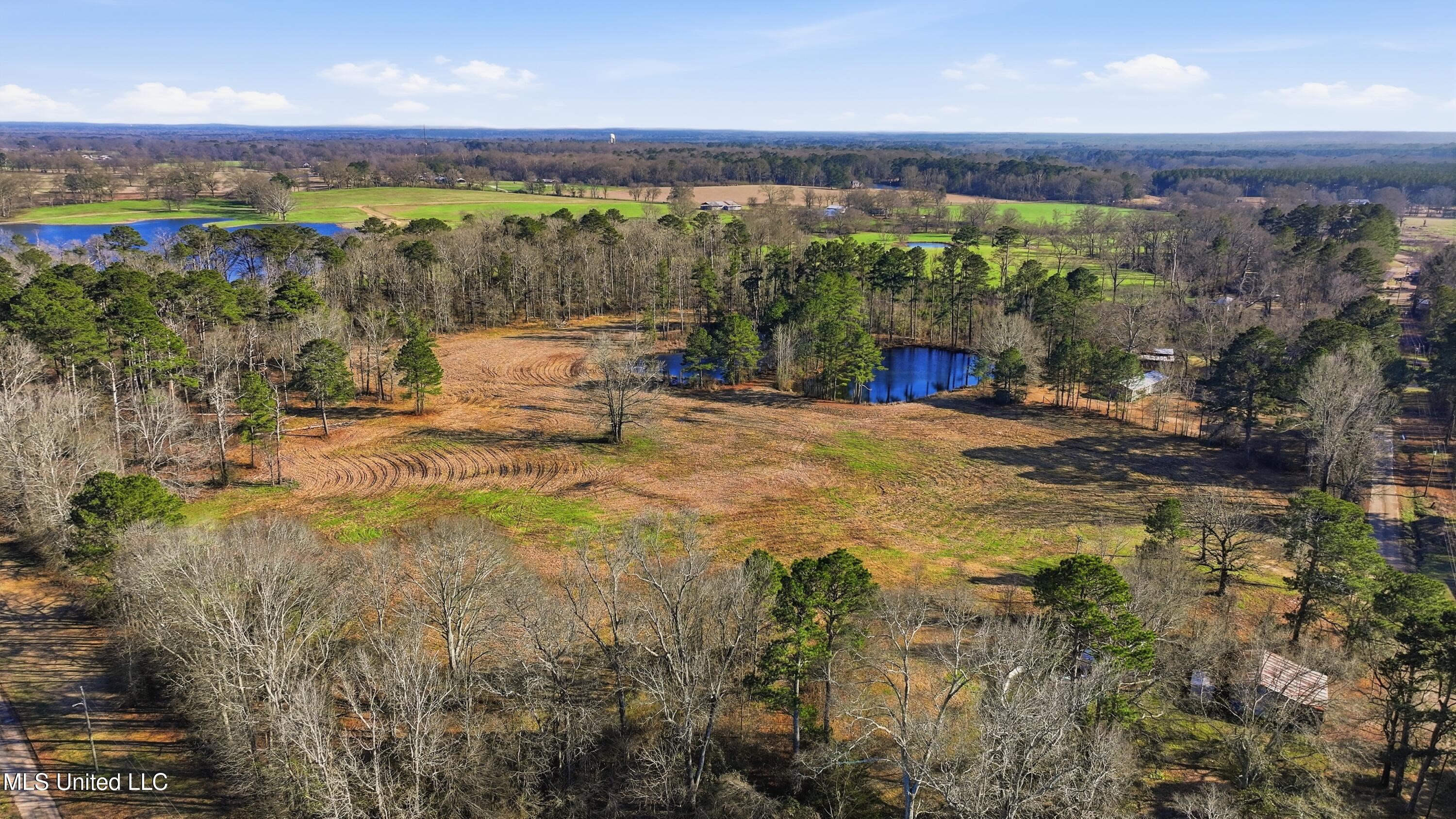 254 Red Allen Road Brandon, MS 39042 - Photo 22 of 31 21-249 Red Allen Rd _ Home Tours MS