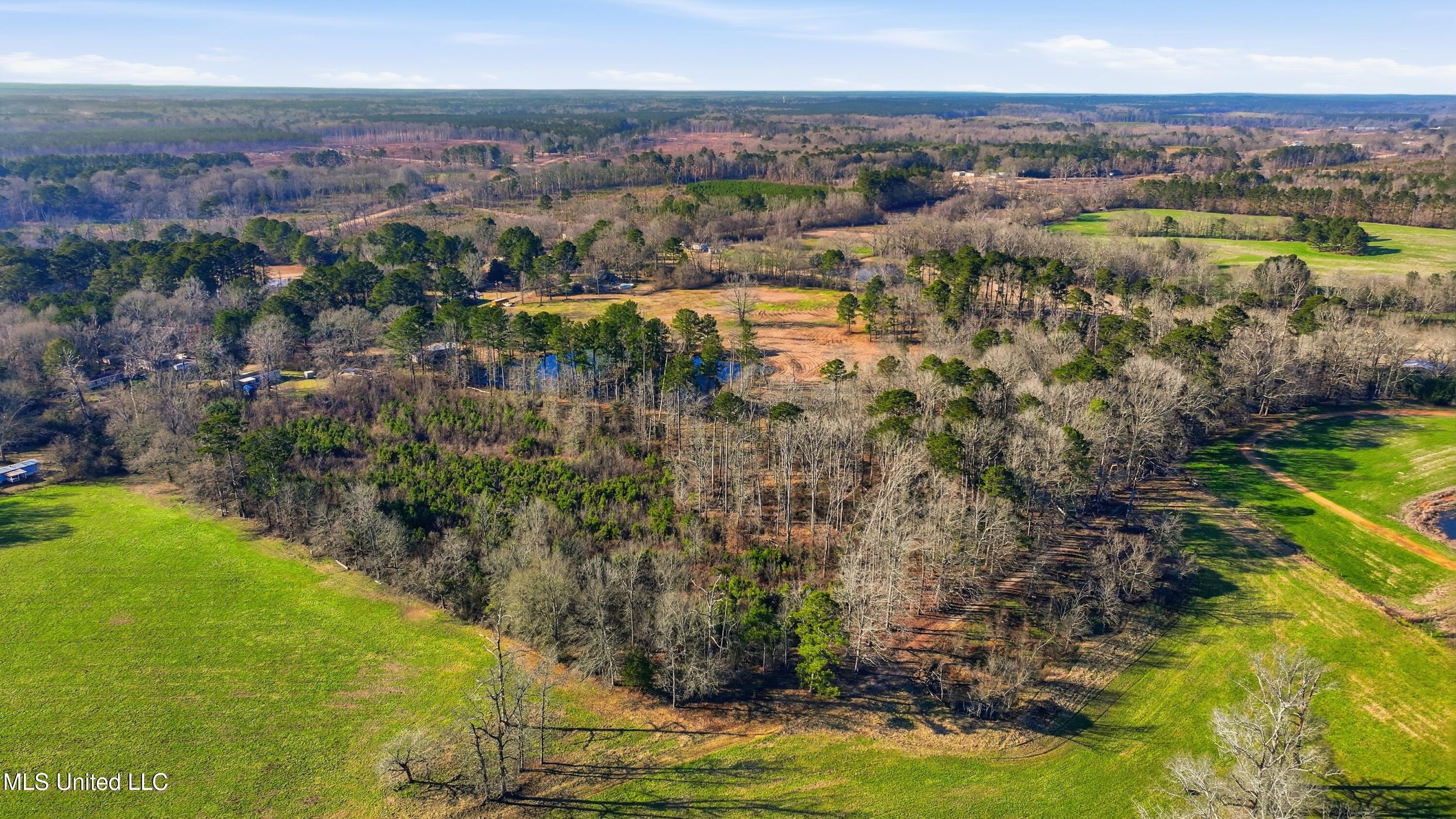 254 Red Allen Road Brandon, MS 39042 - Photo 24 of 32 11-249 Red Allen Rd _ Home Tours MS
