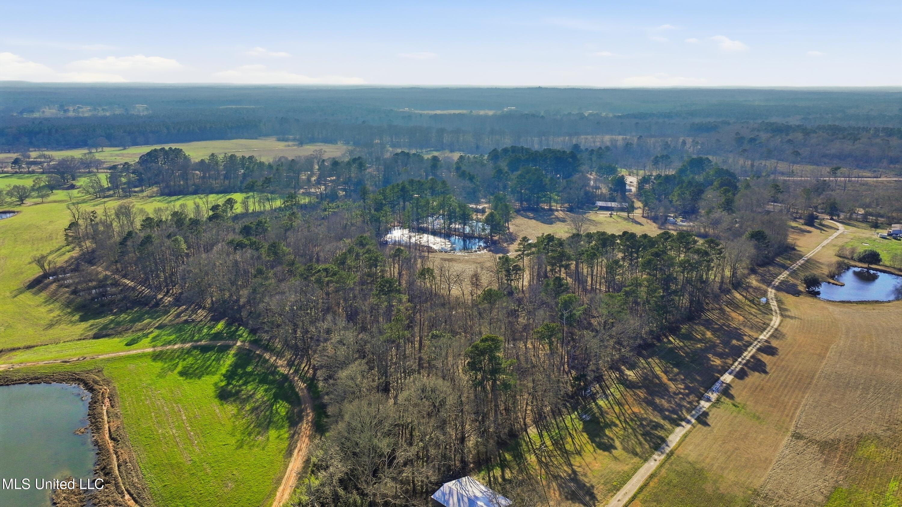 254 Red Allen Road Brandon, MS 39042 - Photo 25 of 31 07-249 Red Allen Rd _ Home Tours MS