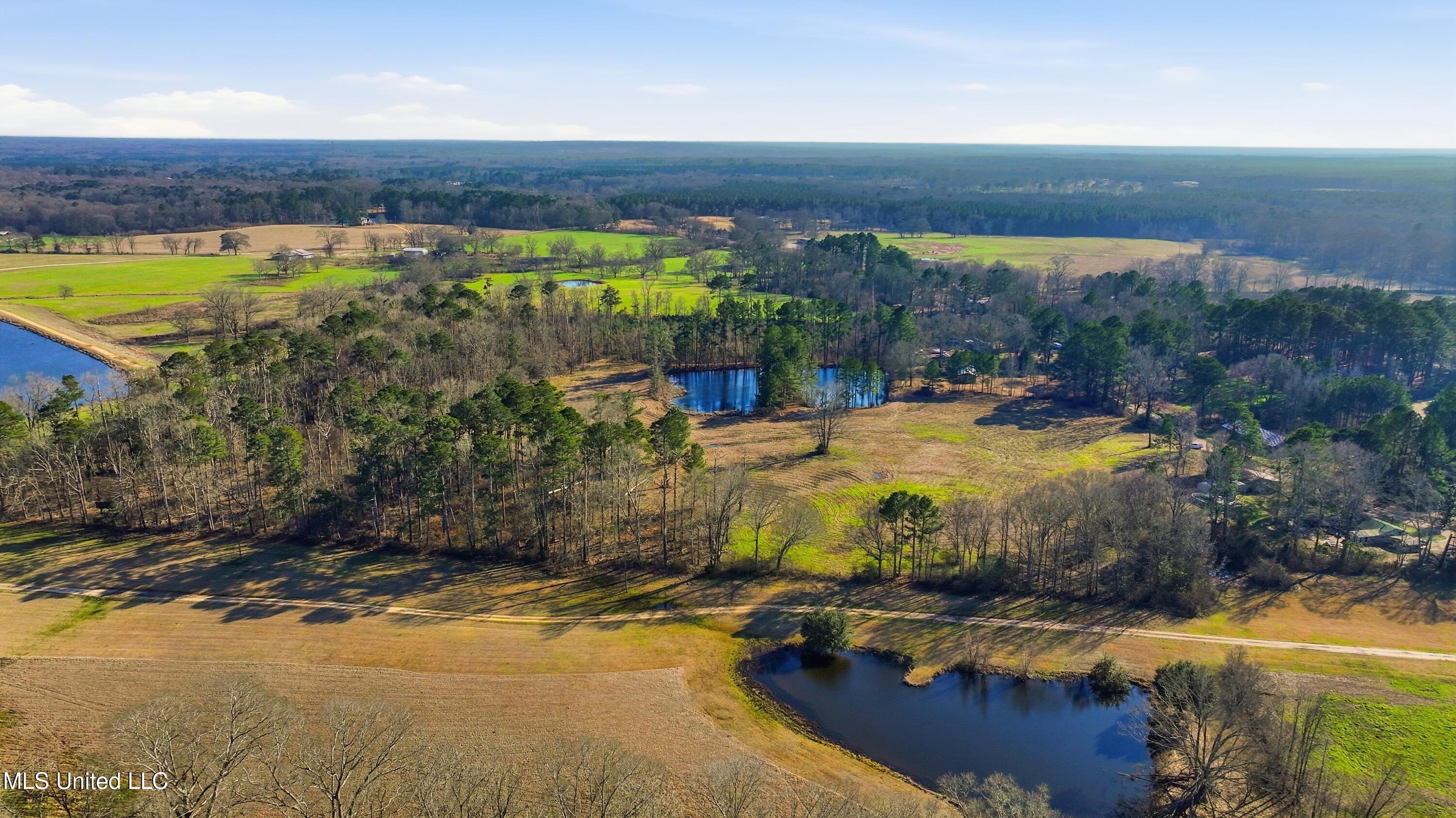 254 Red Allen Road Brandon, MS 39042 - Photo 25 of 32 05-249 Red Allen Rd _ Home Tours MS