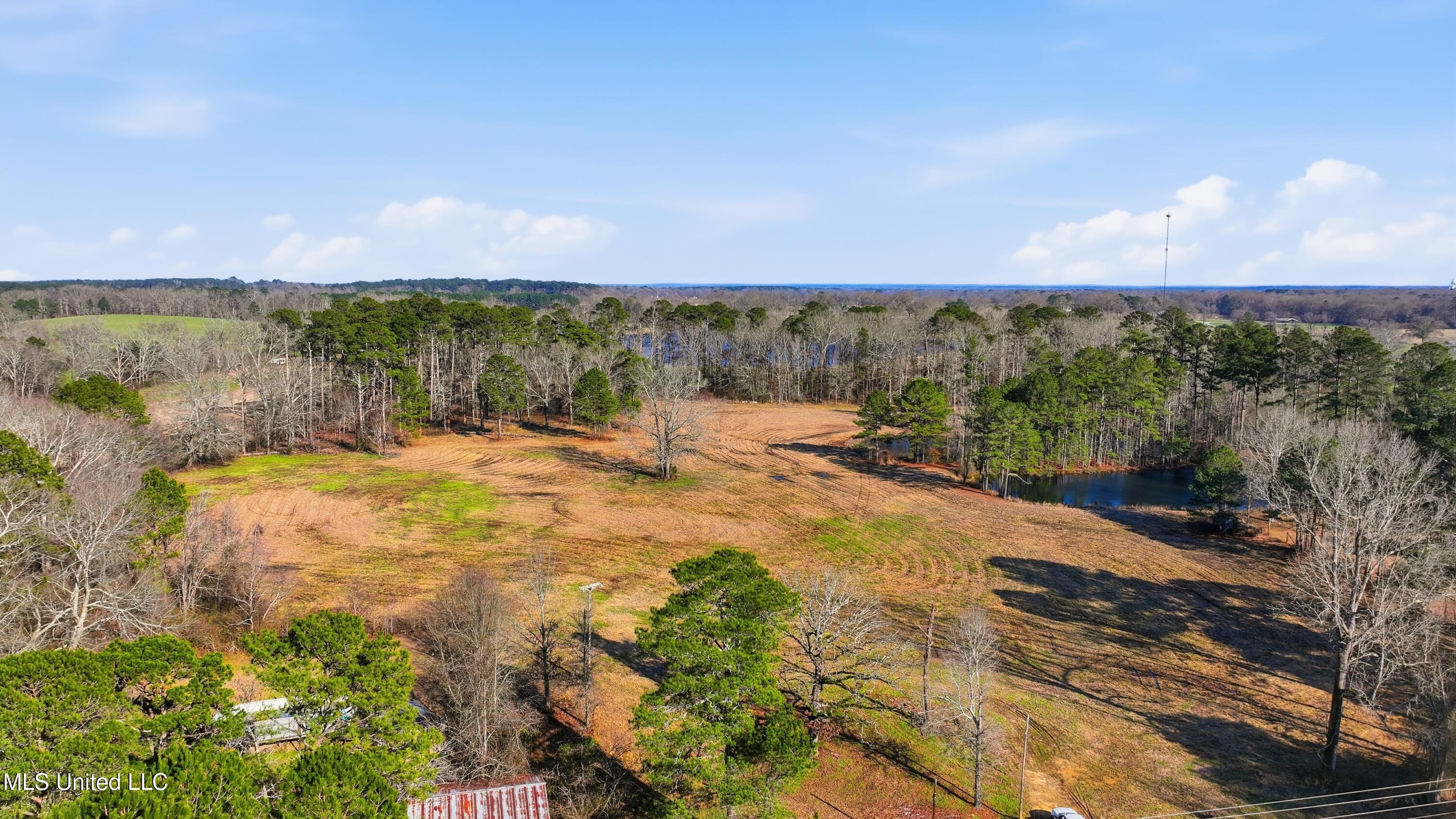 254 Red Allen Road Brandon, MS 39042 - Photo 26 of 31 28-249 Red Allen Rd _ Home Tours MS