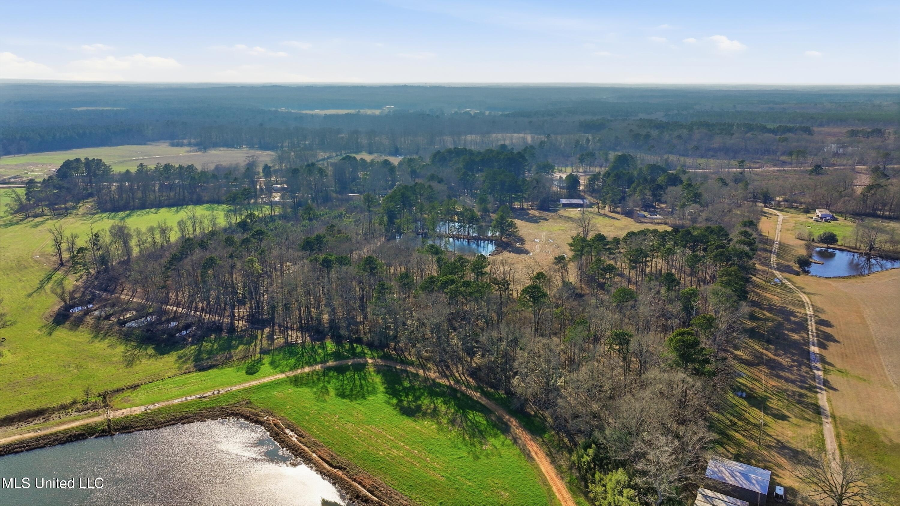 254 Red Allen Road Brandon, MS 39042 - Photo 29 of 31 08-249 Red Allen Rd _ Home Tours MS