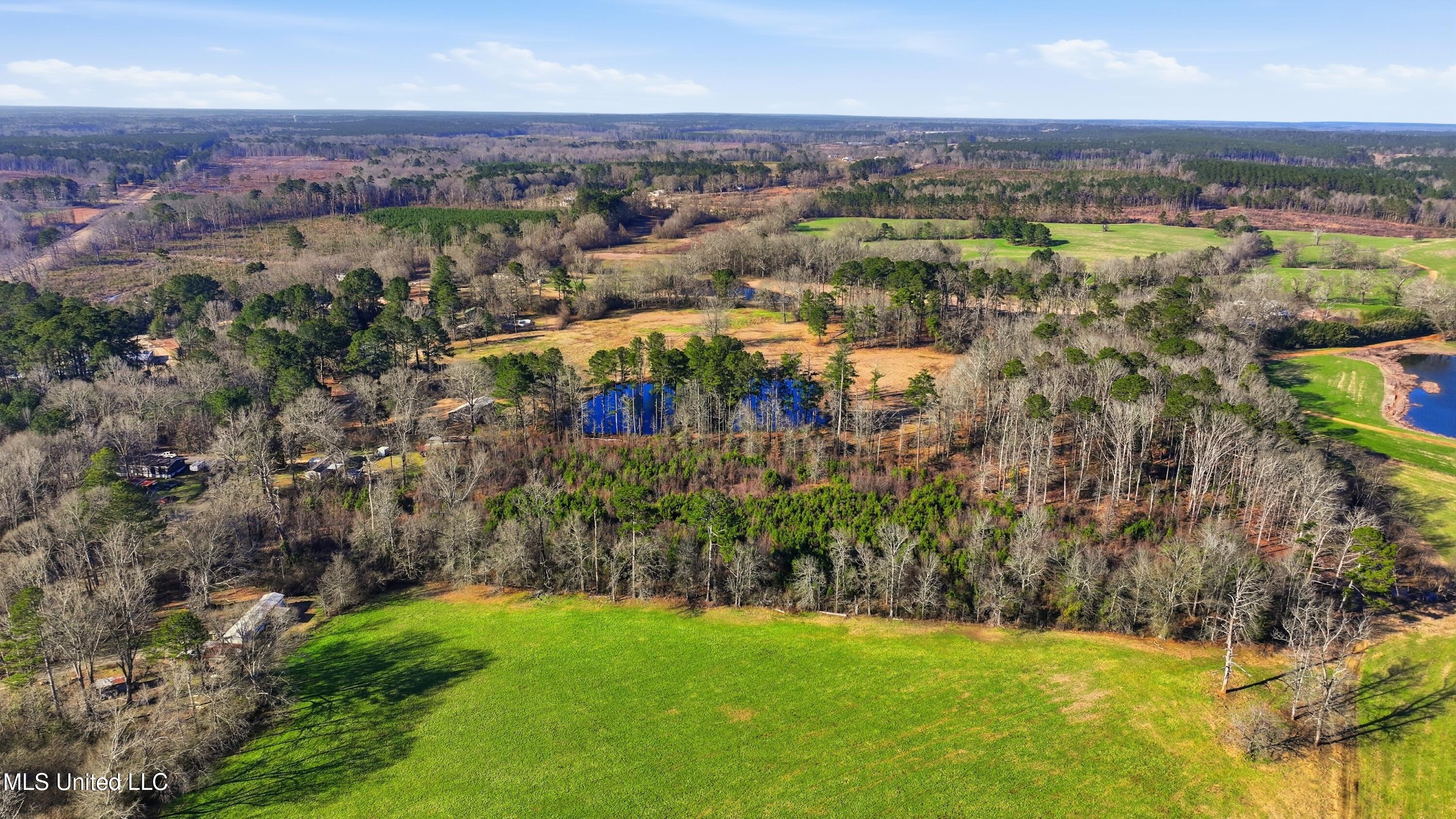 254 Red Allen Road Brandon, MS 39042 - Photo 5 of 31 13-249 Red Allen Rd _ Home Tours MS