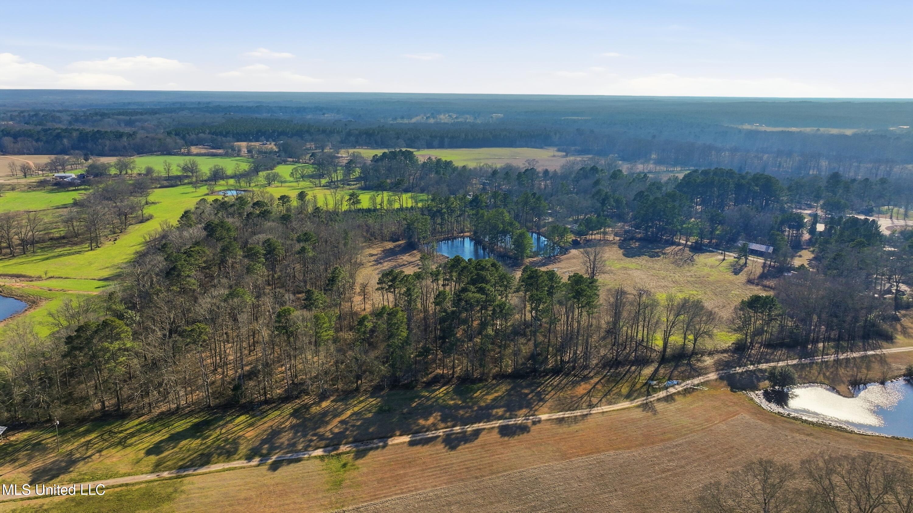 254 Red Allen Road Brandon, MS 39042 - Photo 5 of 32 06-249 Red Allen Rd _ Home Tours MS