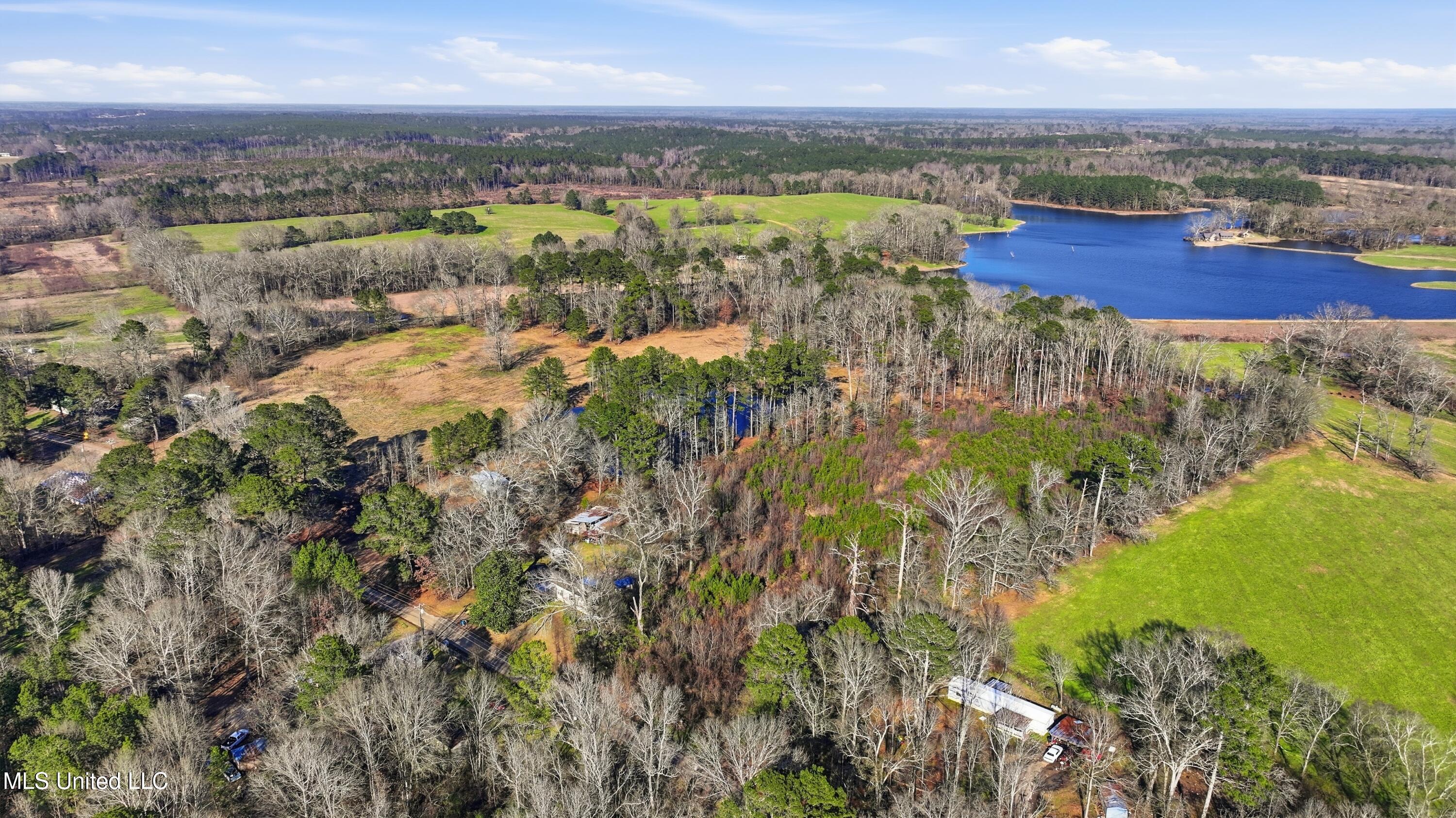 254 Red Allen Road Brandon, MS 39042 - Photo 7 of 31 15-249 Red Allen Rd _ Home Tours MS