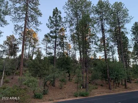 $149,000 | 805 South Monument Valley Drive, Unit 166, Payson, AZ 85541