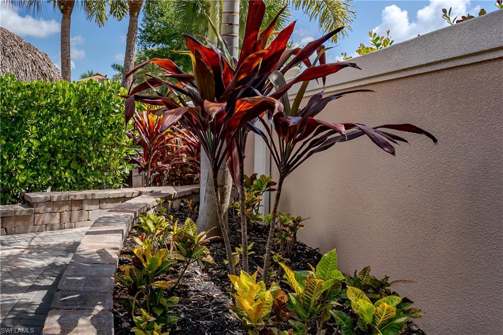 13571 Snook Circle Naples, FL 34114 - Photo 7 of 47 a close up of a plant with a plant