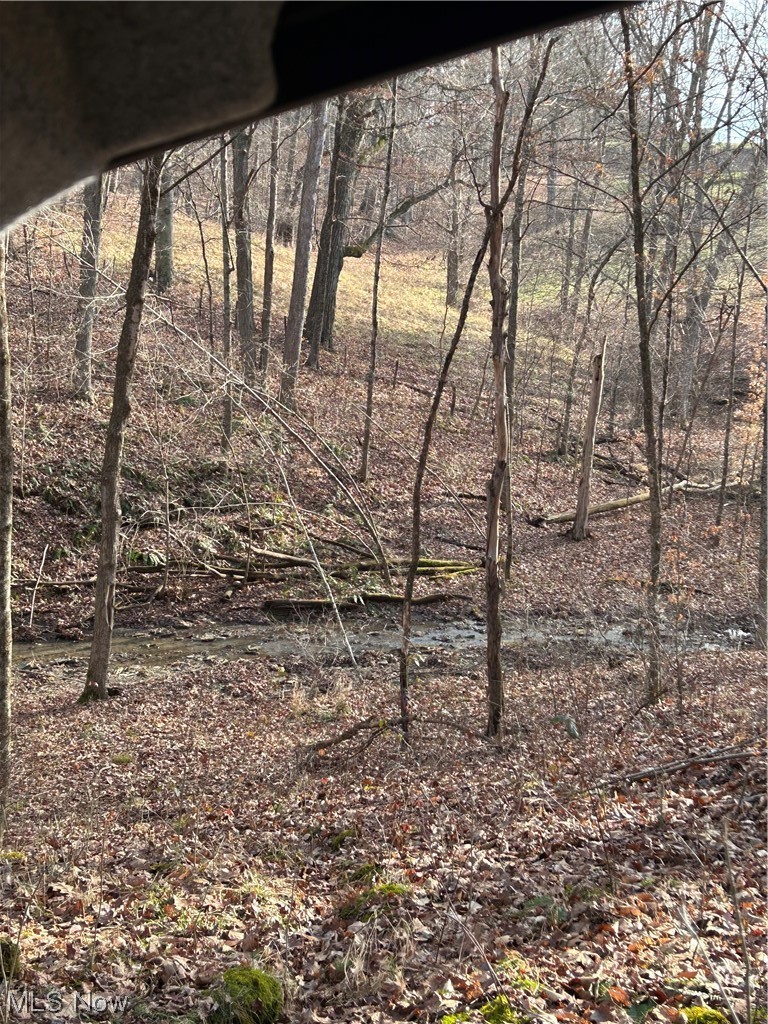 50748 Shenandoah Road Caldwell, OH 43724 - Photo 42 of 43 View of mother earth's splendor
