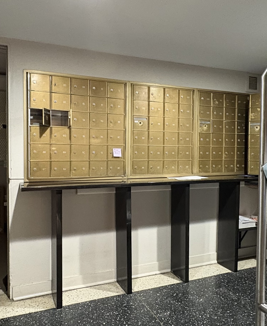 21 West Goethe Street, Unit 2A Chicago, IL 60610 - Photo 29 of 48