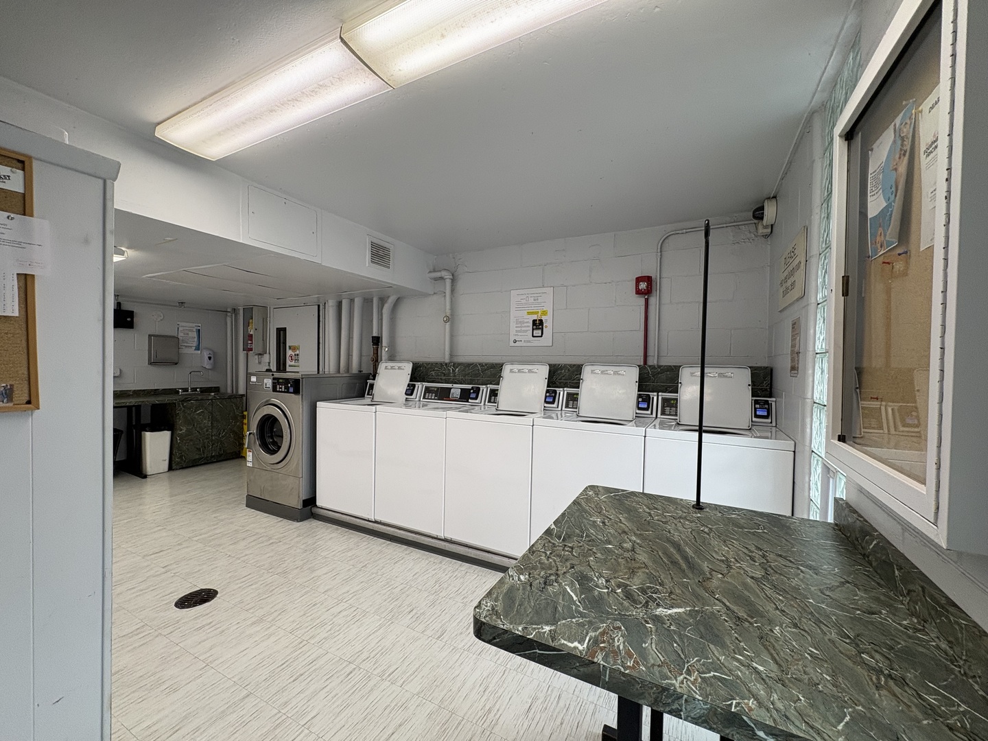 21 West Goethe Street, Unit 2A Chicago, IL 60610 - Photo 33 of 48