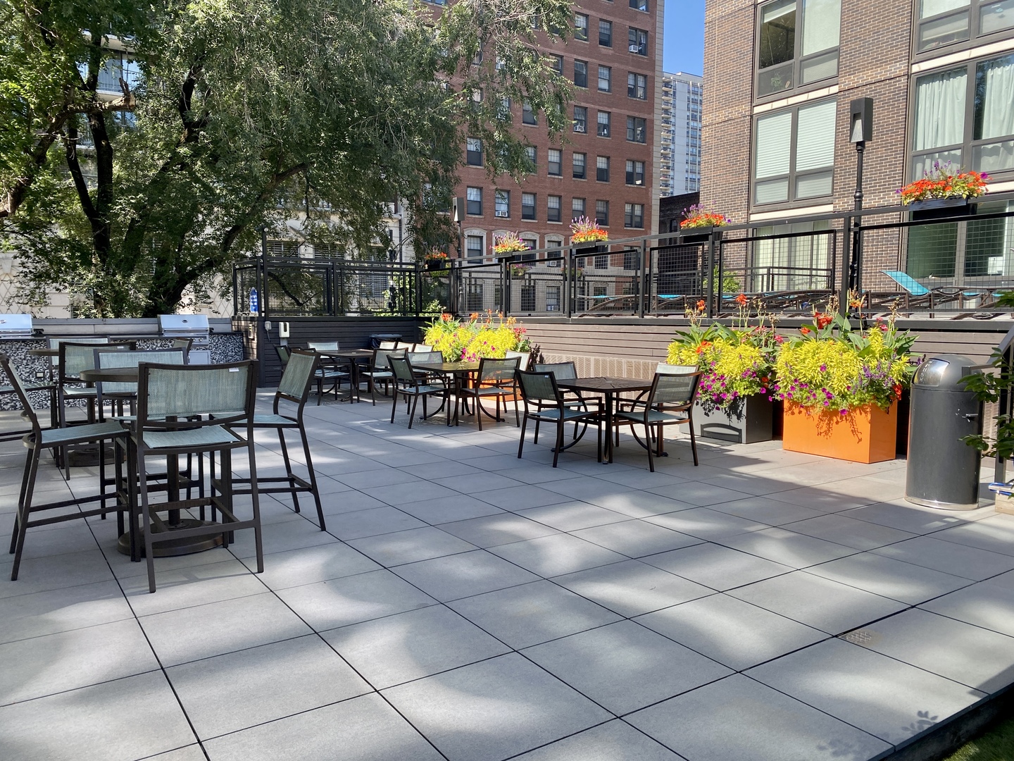 21 West Goethe Street, Unit 2A Chicago, IL 60610 - Photo 46 of 49