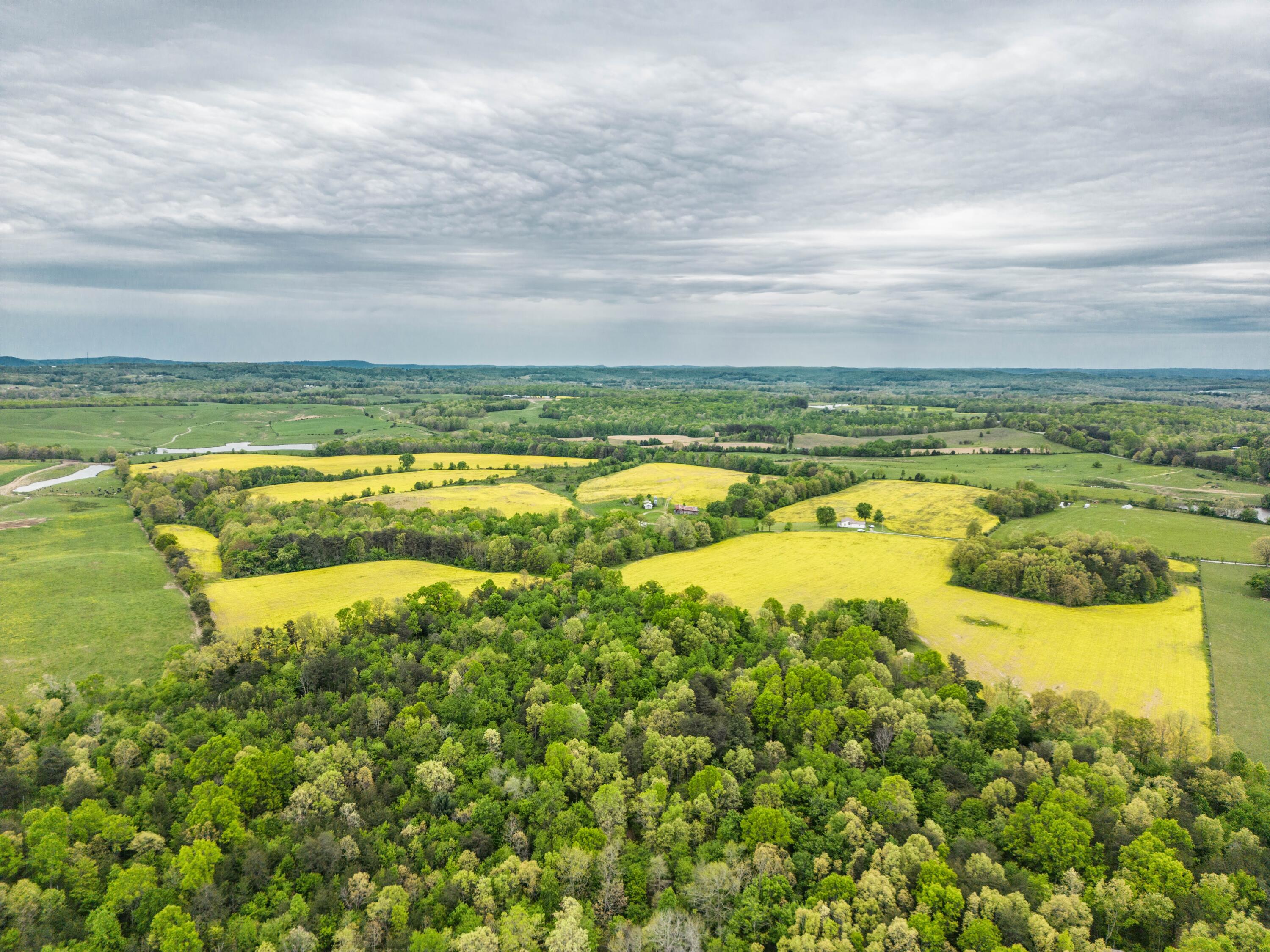 506 Kay Road Pikeville, TN 37367 - Photo 1 of 38 DJI_0196