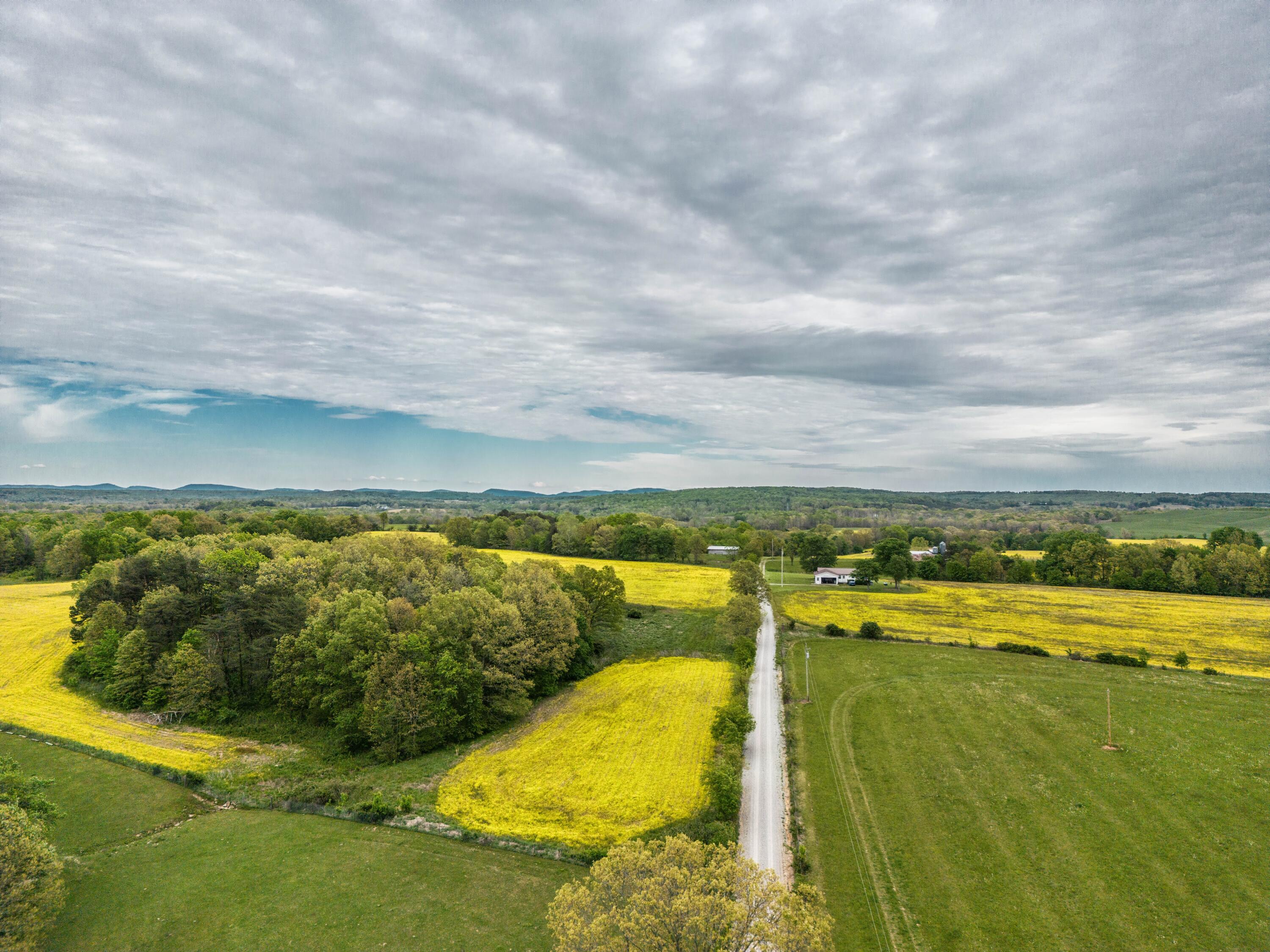 506 Kay Road Pikeville, TN 37367 - Photo 20 of 38 DJI_0210