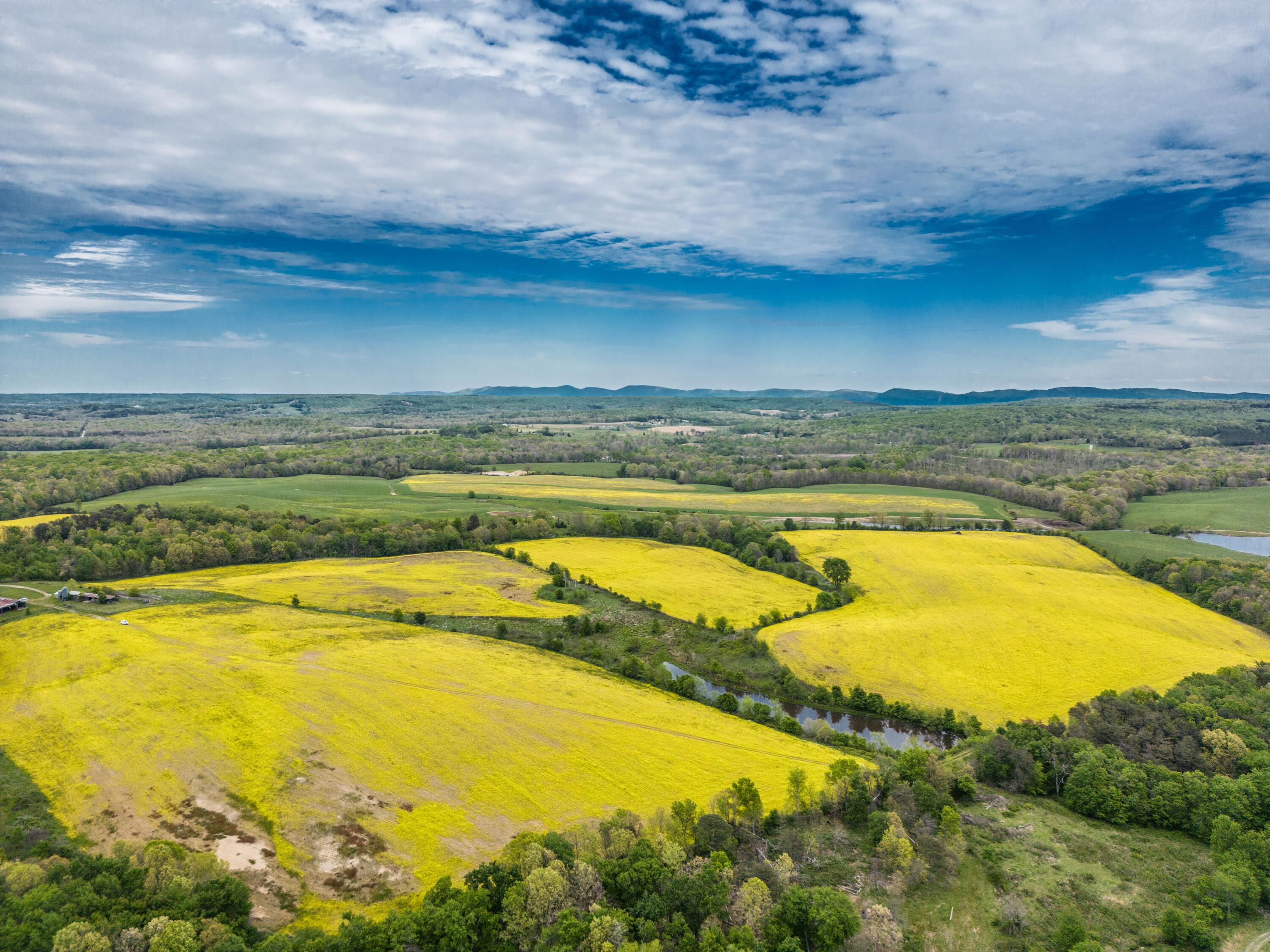 506 Kay Road Pikeville, TN 37367 - Photo 3 of 38 DJI_0145