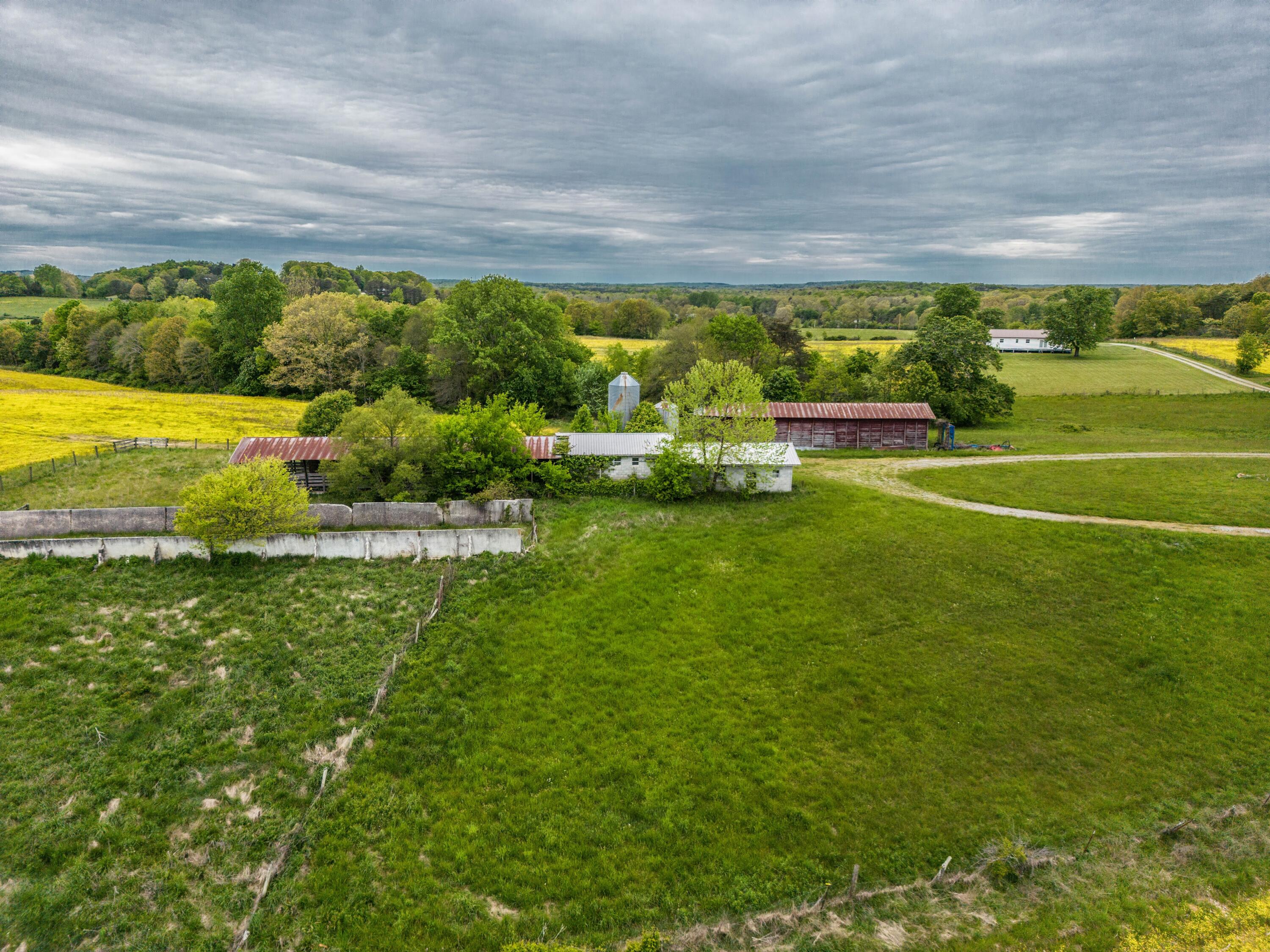506 Kay Road Pikeville, TN 37367 - Photo 8 of 38 DJI_0174