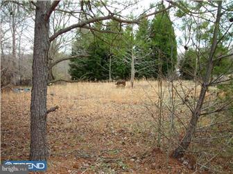 886 Saw Mill Road Townsend, DE 19734 - Photo 1 of 11