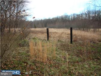 886 Saw Mill Road Townsend, DE 19734 - Photo 2 of 11