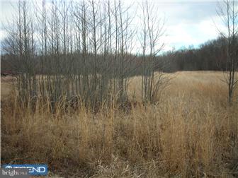 886 Saw Mill Road Townsend, DE 19734 - Photo 11 of 11