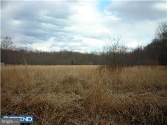 886 Saw Mill Road Townsend, DE 19734 - Photo 4 of 11