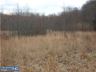 886 Saw Mill Road Townsend, DE 19734 - Photo 5 of 11