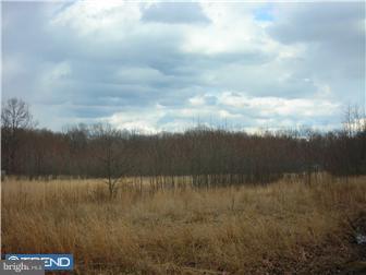 886 Saw Mill Road Townsend, DE 19734 - Photo 8 of 11