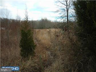 886 Saw Mill Road Townsend, DE 19734 - Photo 10 of 11