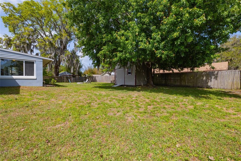 1709 Umbrella Tree Drive Edgewater, FL 32132 - Photo 23 of 37 a view of a backyard with a large tree