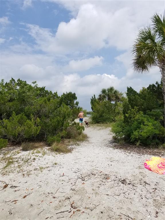 1709 Umbrella Tree Drive Edgewater, FL 32132 - Photo 29 of 37 a view of a pathway with a yard