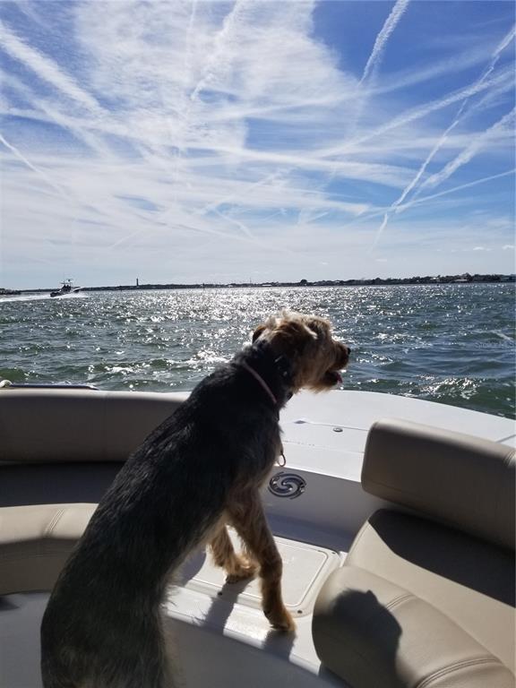 1709 Umbrella Tree Drive Edgewater, FL 32132 - Photo 30 of 37 a view of city from terrace with seating space