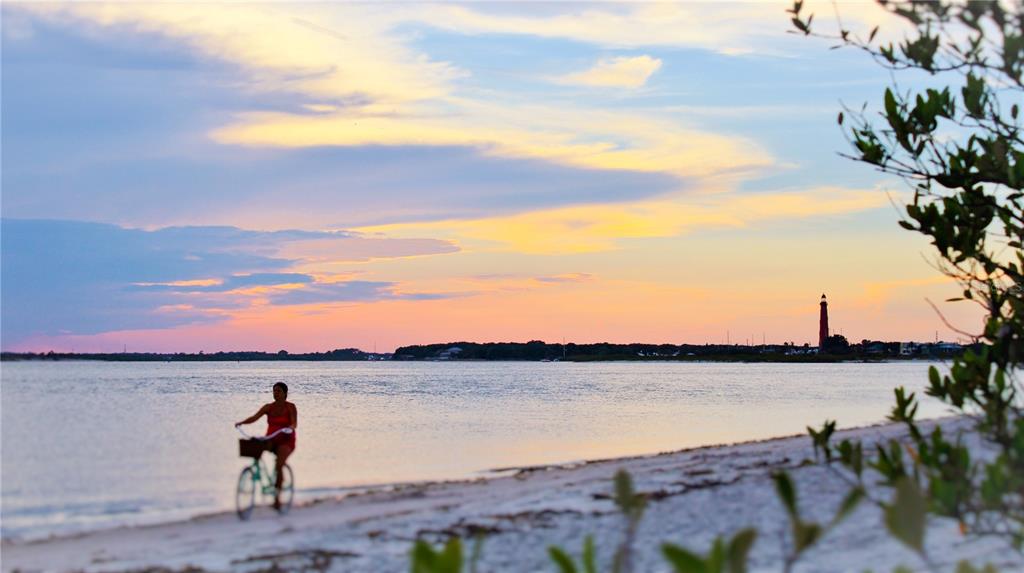1709 Umbrella Tree Drive Edgewater, FL 32132 - Photo 34 of 37 a view of a lake and a mountain