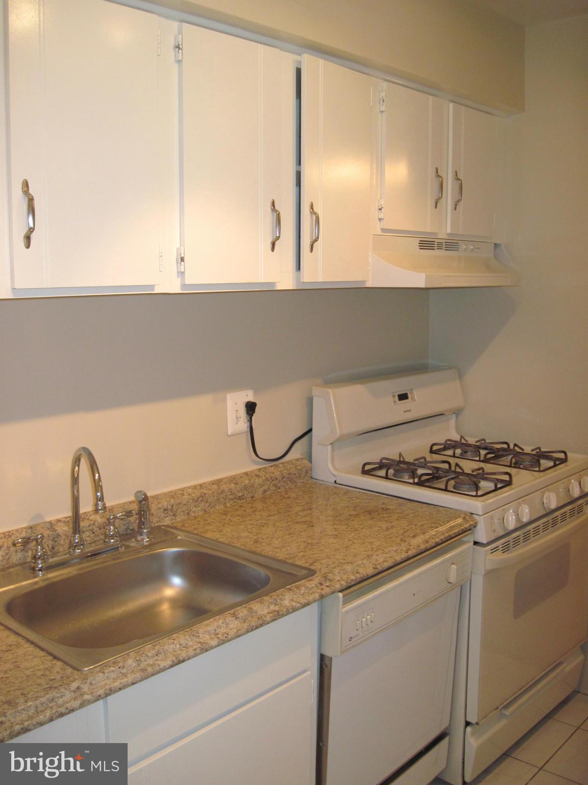 11200 Chestnut Grove Square, Unit 303 Reston, VA 20190 - Photo 12 of 30 a close view of sink and stove