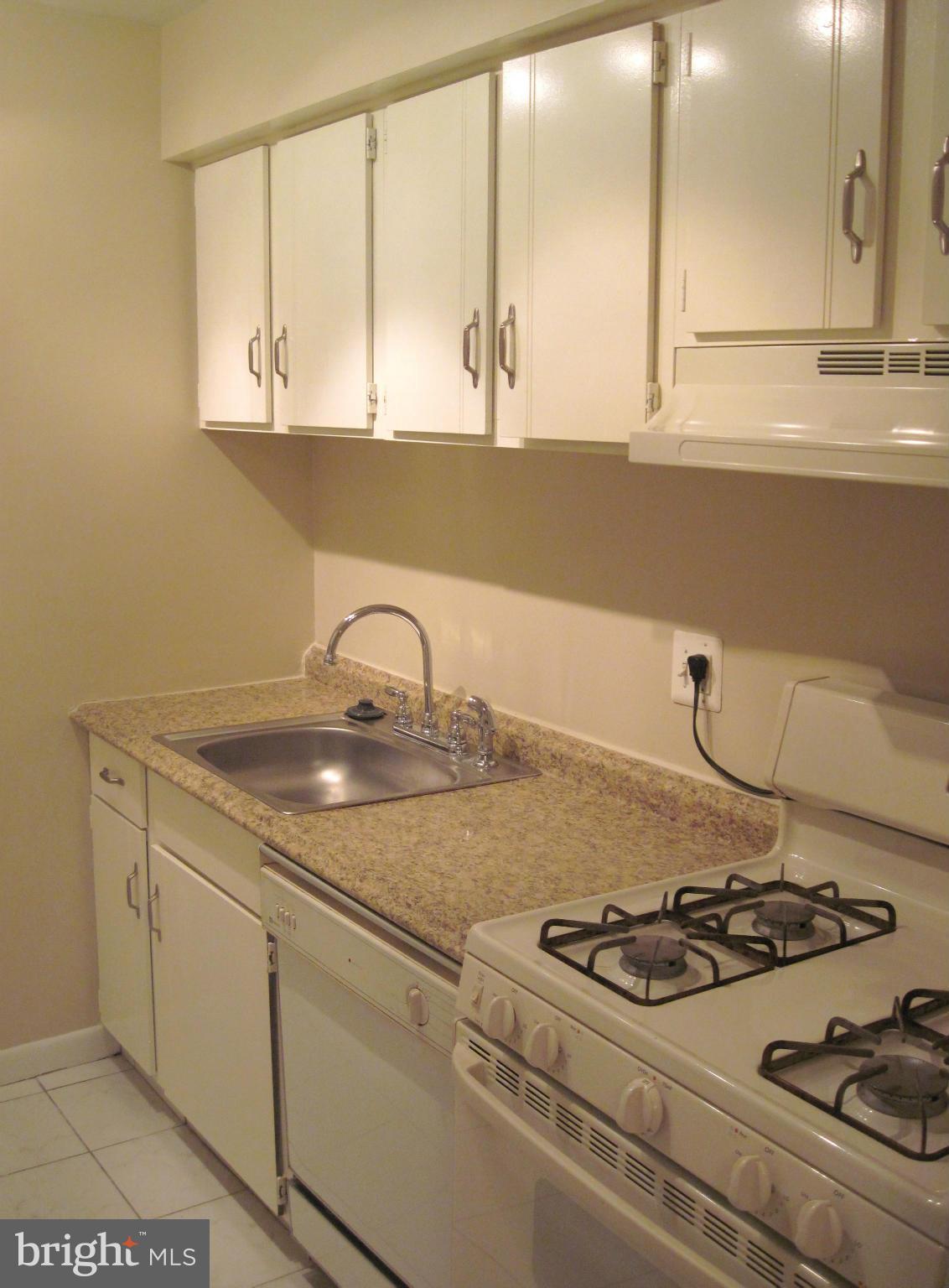 11200 Chestnut Grove Square, Unit 303 Reston, VA 20190 - Photo 8 of 30 a close view of sink a faucet and stove