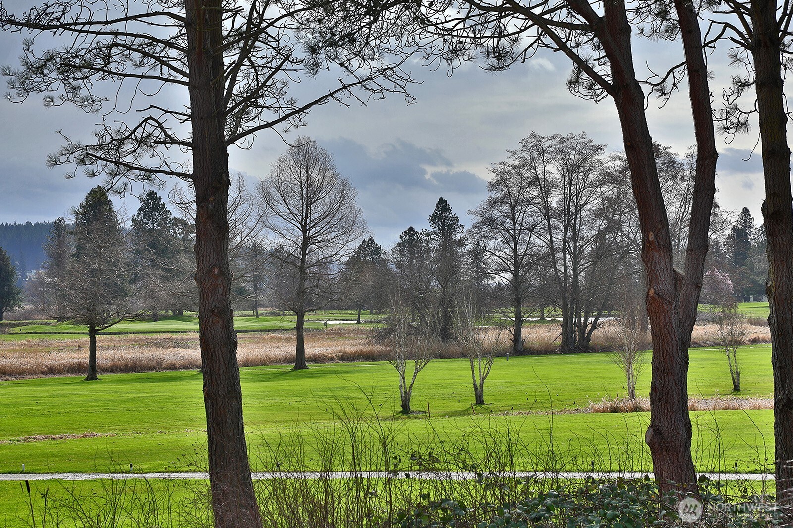 5663 Lenz Place Langley, WA 98260 - Photo 30 of 37 a view of a park with large tree