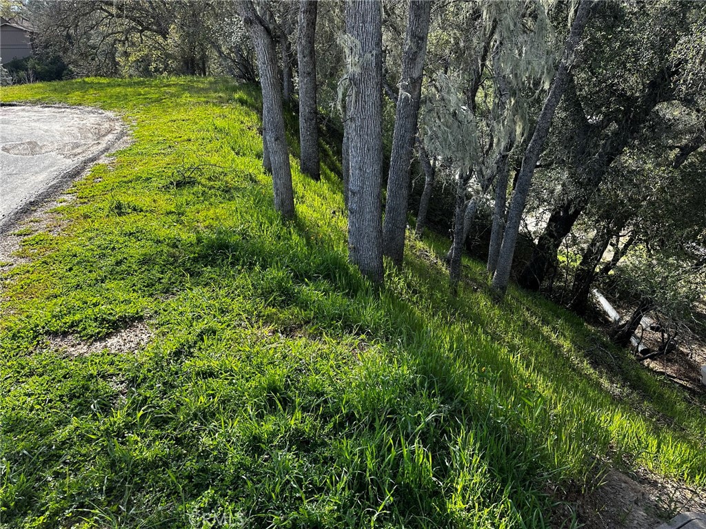 2367 Rough Road Bradley, CA 93426 - Photo 1 of 1 a view of outdoor space with a garden