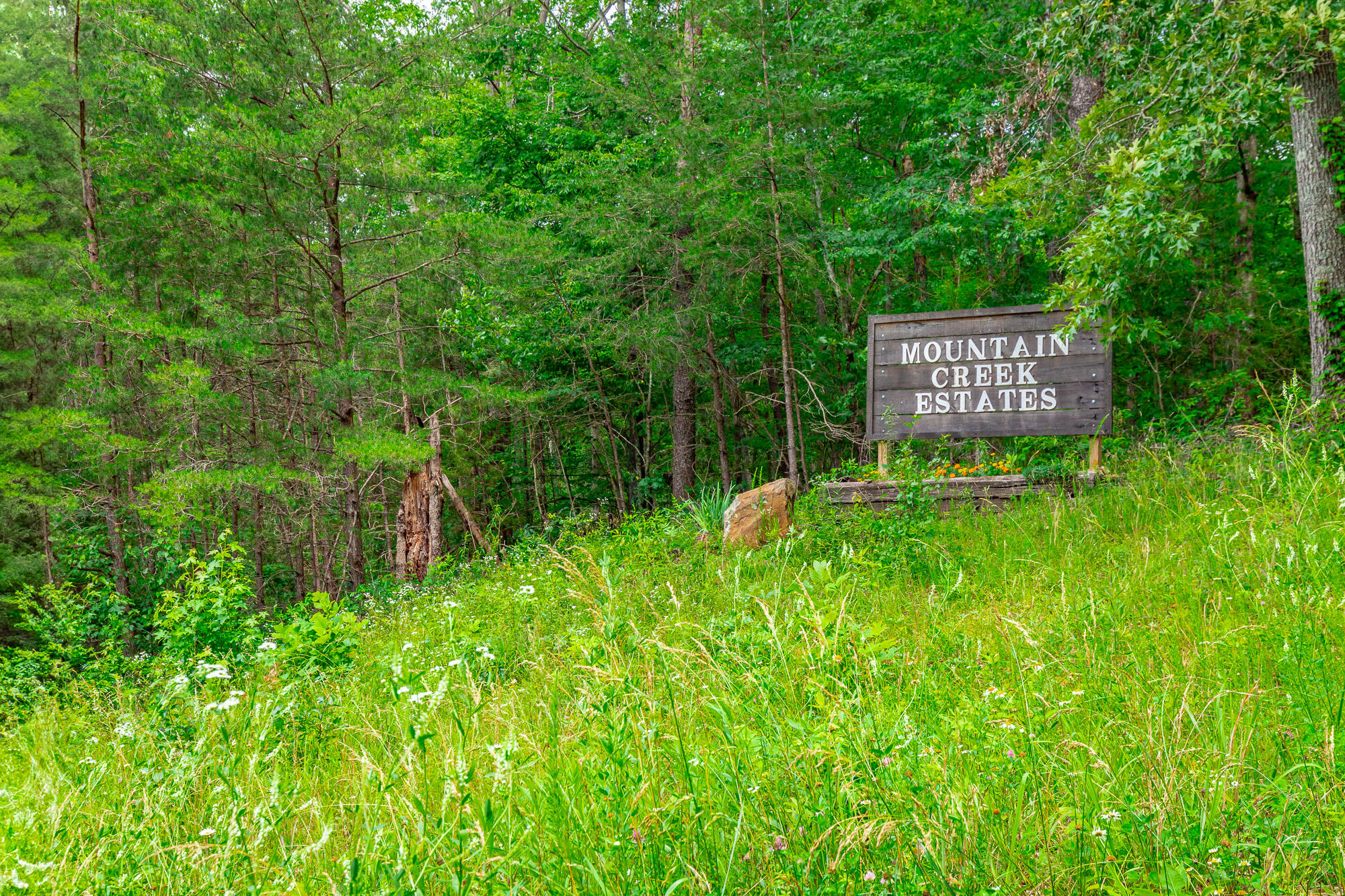 87 Apple Road Pikeville, TN 37367 - Photo 23 of 28 87 Apple Road Lot HD-43