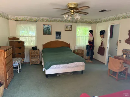 a bedroom with furniture and a window