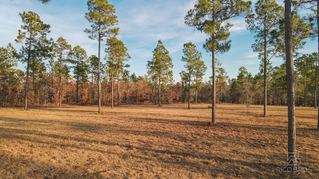 Lot 28 Rembert Place Aiken, SC 29803 - Photo 3 of 18