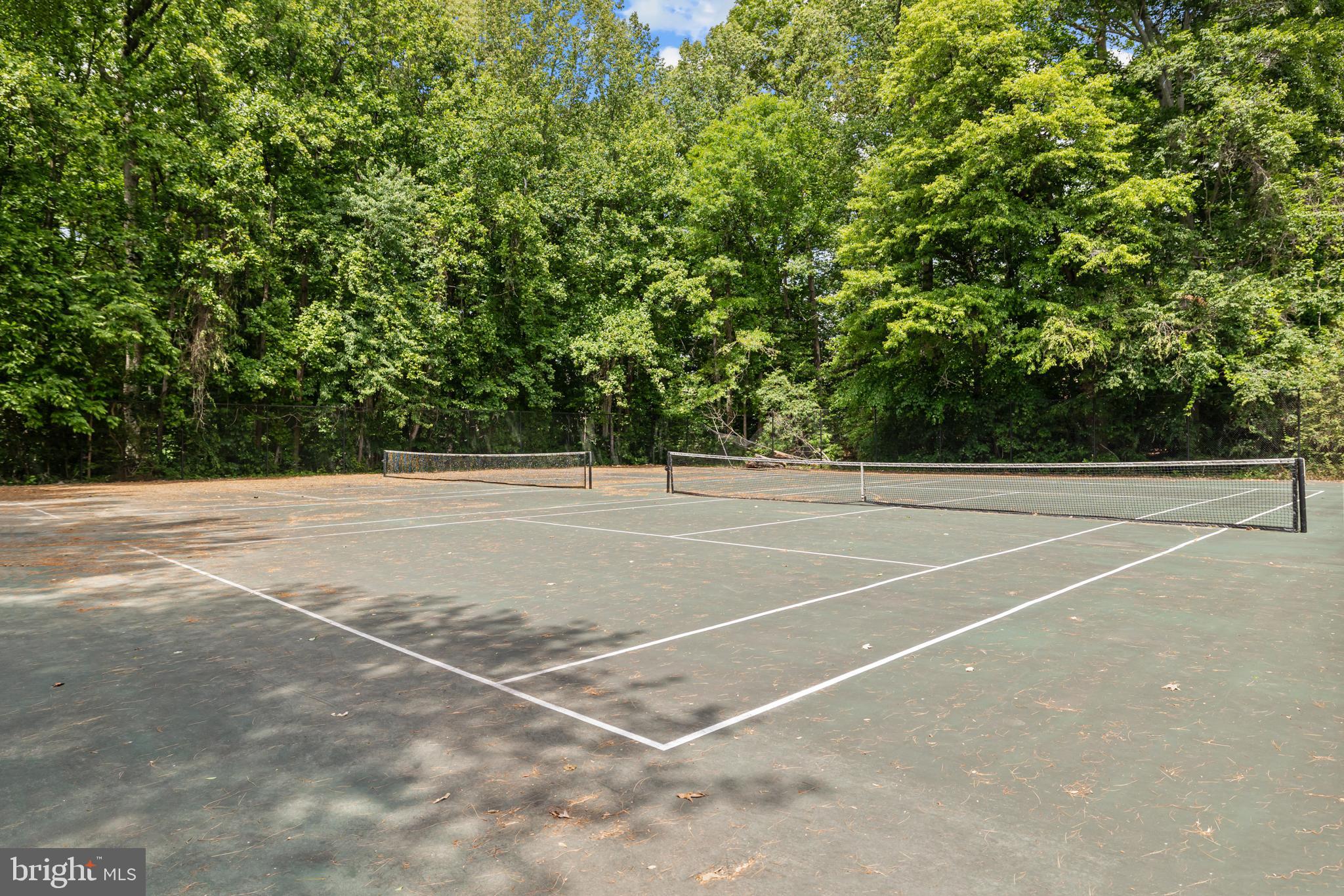 7771 Durer Court Springfield, VA 22153 - Photo 56 of 57