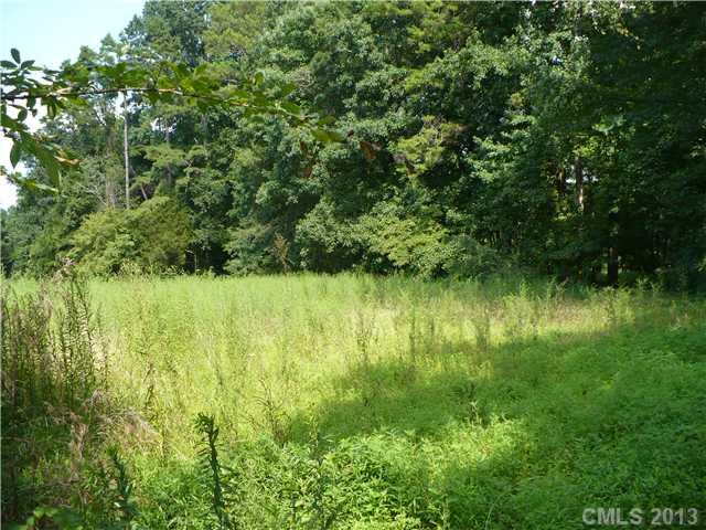 0 Mt Vernon Road Woodleaf, NC 27054 - Photo 2 of 6