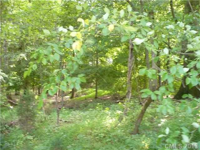0 Mt Vernon Road Woodleaf, NC 27054 - Photo 3 of 6