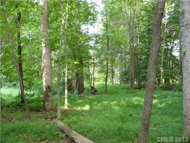 0 Mt Vernon Road Woodleaf, NC 27054 - Photo 4 of 6