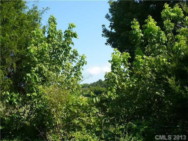0 Mt Vernon Road Woodleaf, NC 27054 - Photo 6 of 6