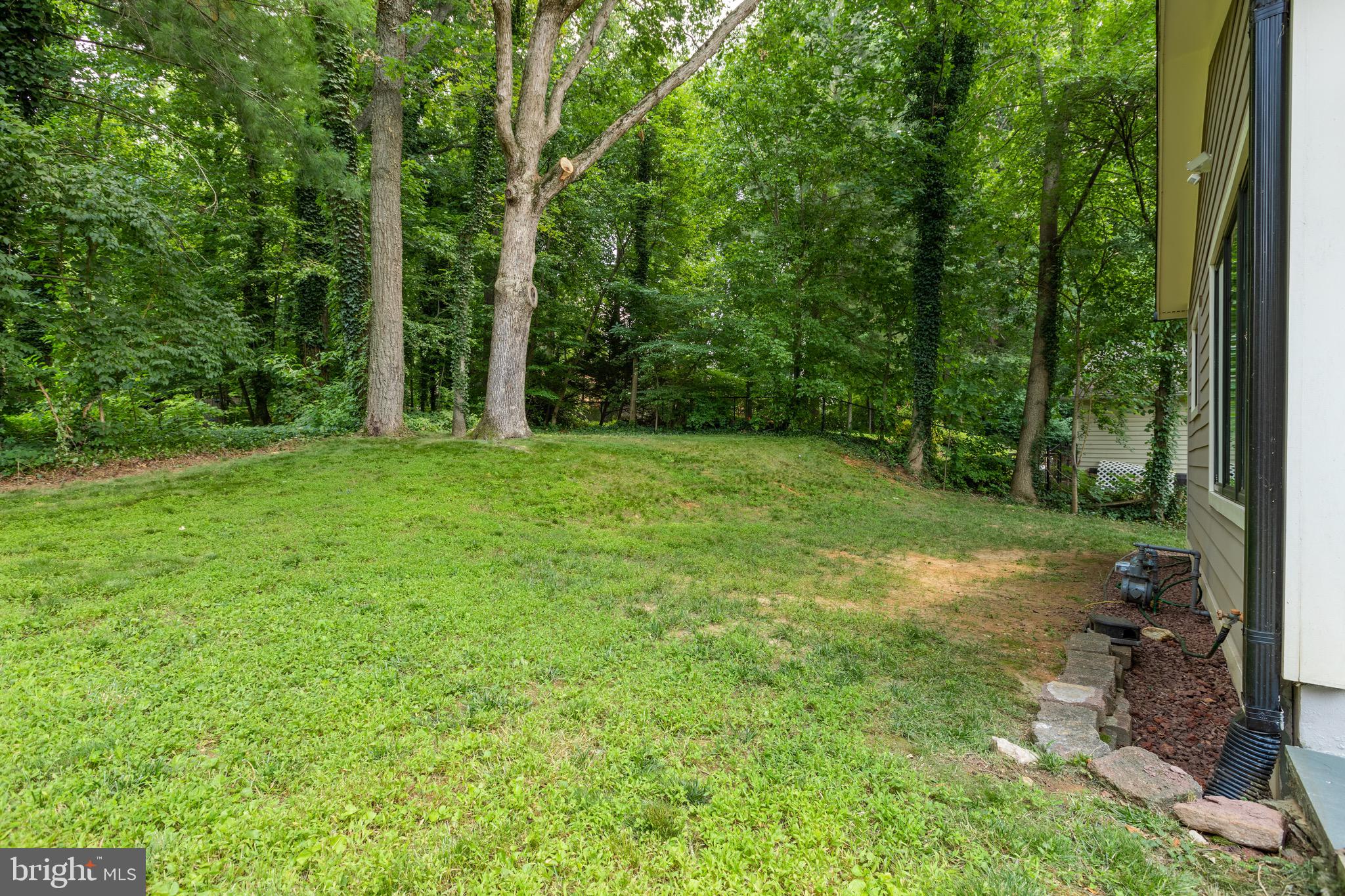 7801 Beech Tree Road Bethesda, MD 20817 - Photo 52 of 52 Rear Yard