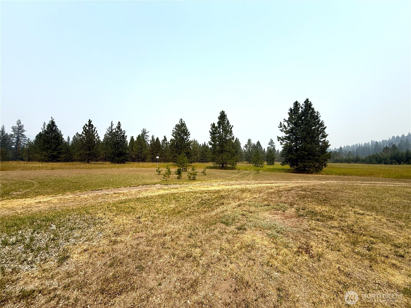 90 Gulch Road Malo, WA 99150 - Photo 2 of 25 Gallery Image 2