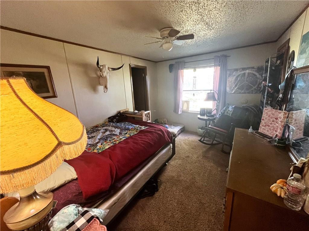 24119 Lacey Road Smithton, MO 65350 - Photo 9 of 12