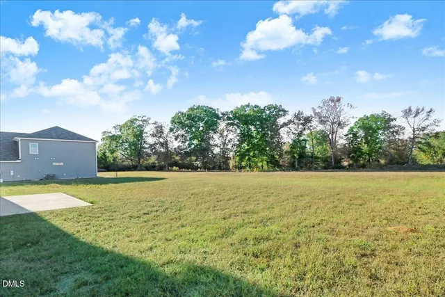 a view of an ocean from a yard