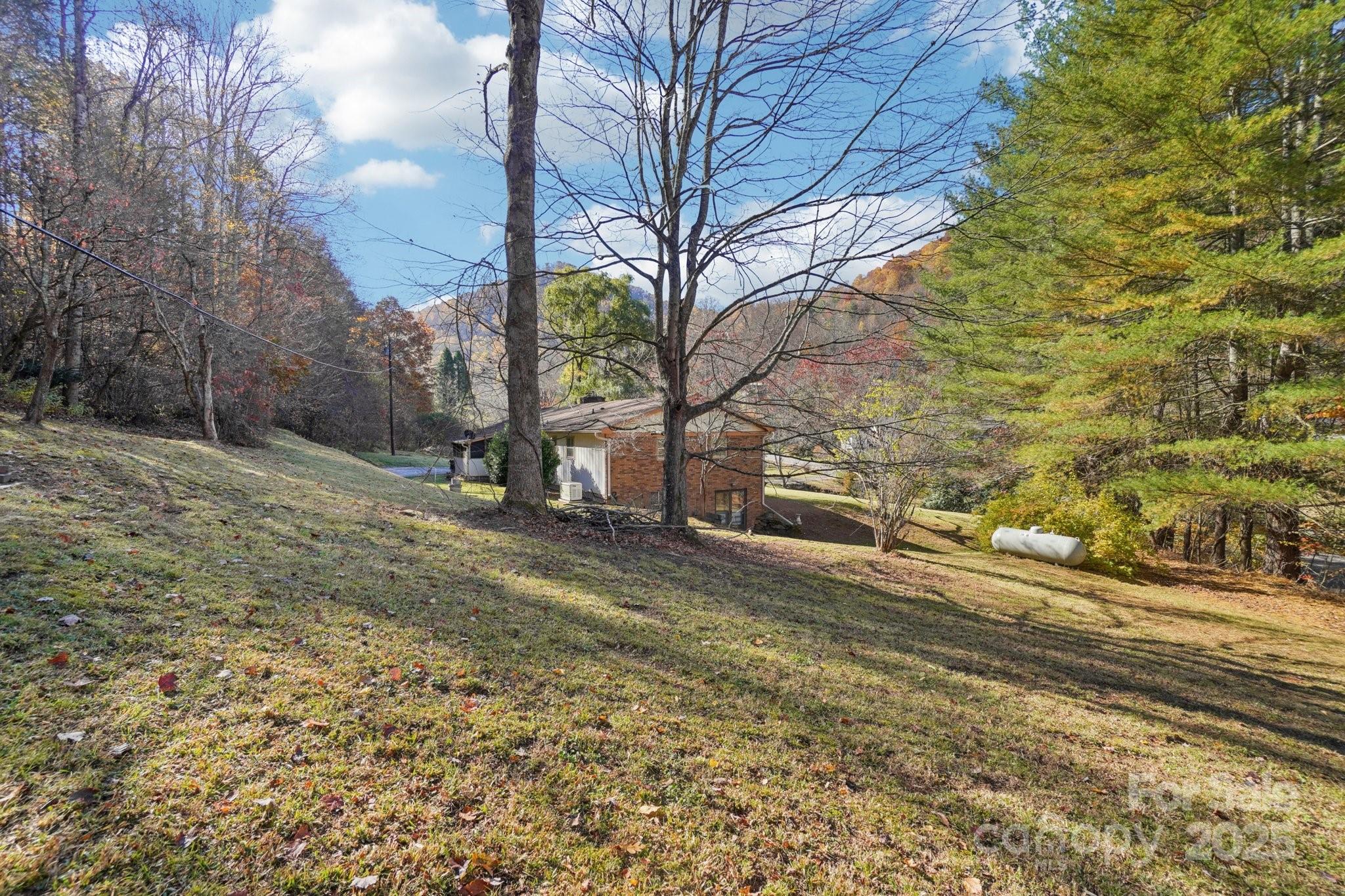 480 Paint Fork Road Barnardsville, NC 28709 - Photo 37 of 43 a view of a yard covered with snow